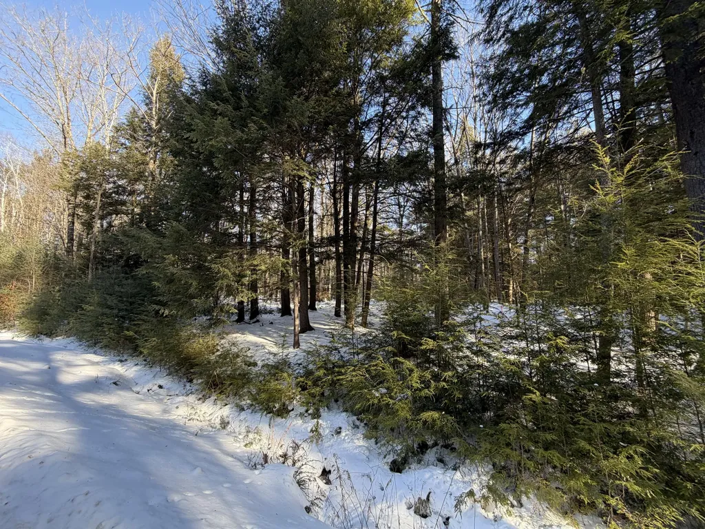 10 Merriman Drive Bethel ME 04217