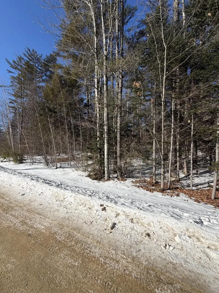 10 Merriman Drive Bethel ME 04217