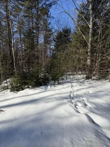 10 Merriman Drive Bethel ME 04217