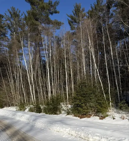 10 Merriman Drive Bethel ME 04217