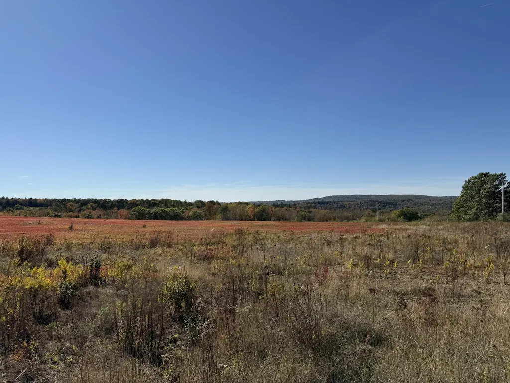 MR2L122-1 Old Country Road Stockton Springs ME 04981