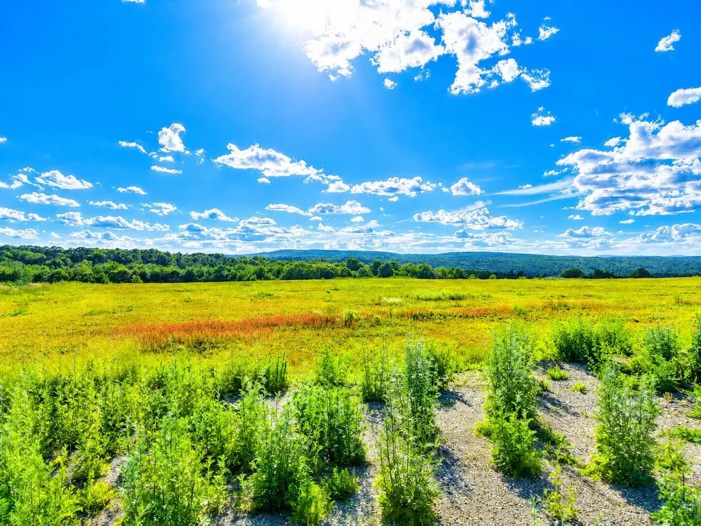 MR2L122-1 Old Country Road Stockton Springs ME 04981