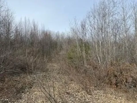25 Lake School Road Jay ME 04239