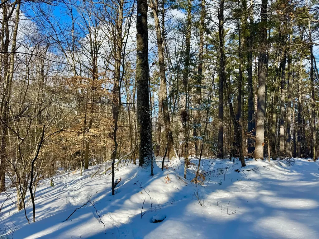 Tbd Swans Falls Road Fryeburg ME 04037