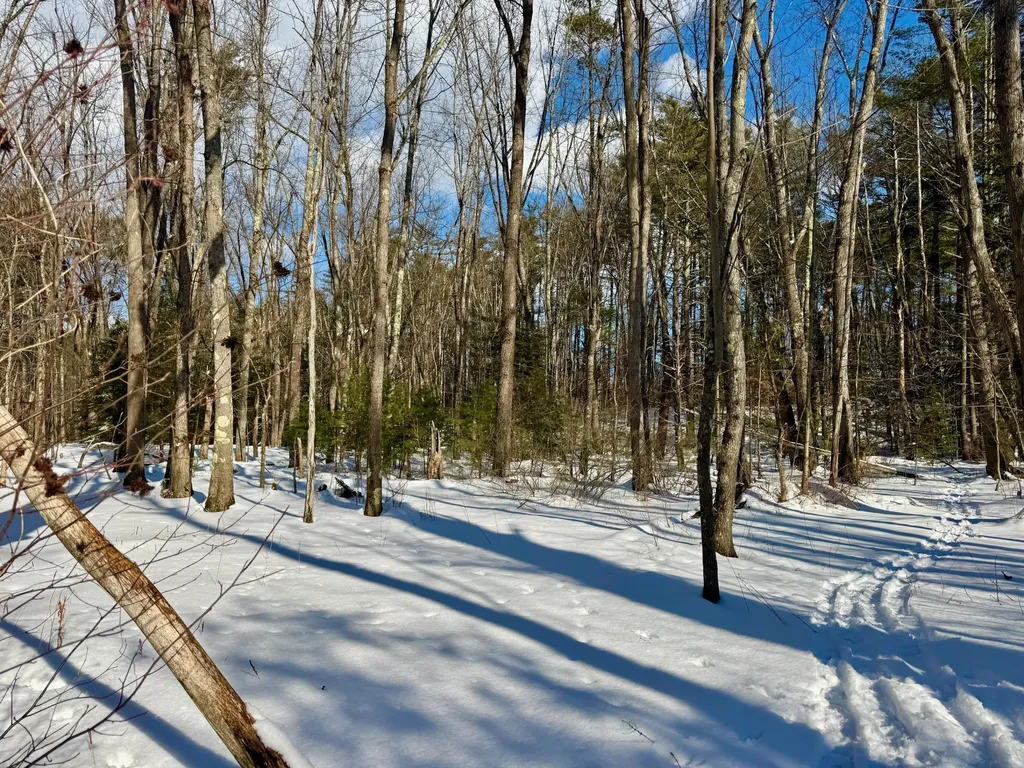 Tbd Swans Falls Road Fryeburg ME 04037