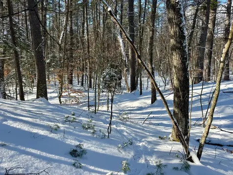 Tbd Swans Falls Road Fryeburg ME 04037