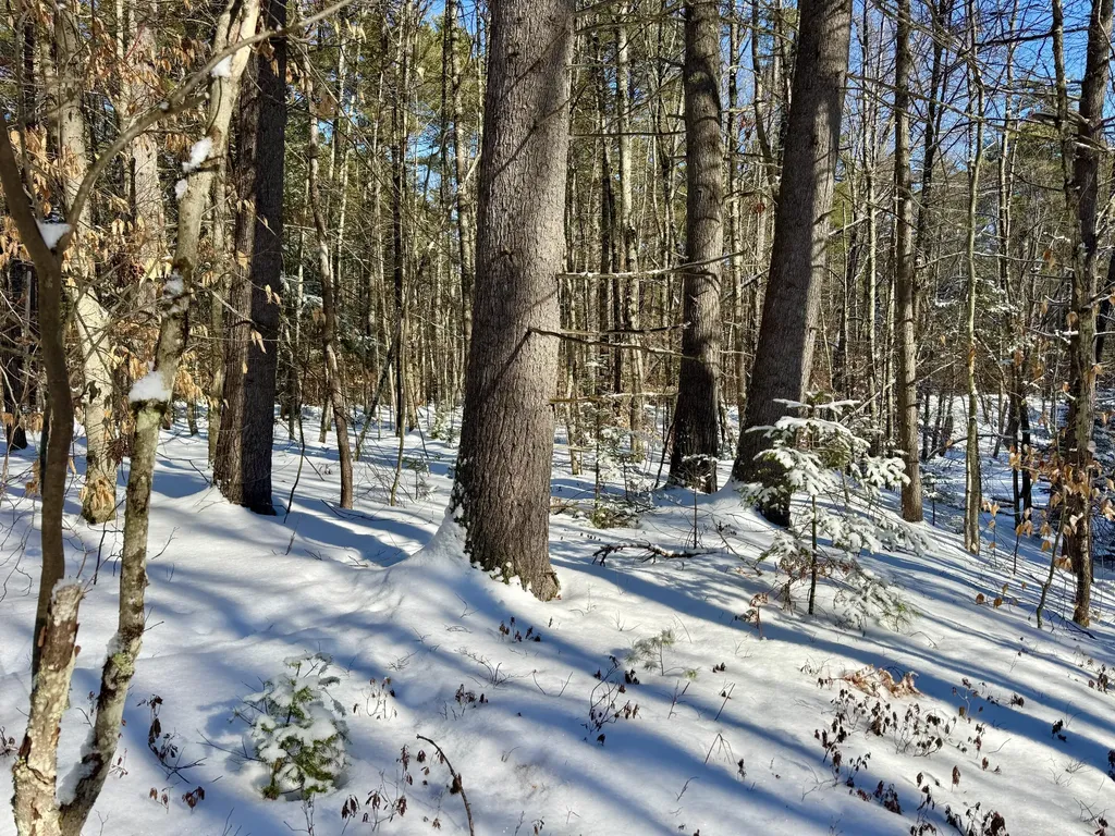 Tbd Swans Falls Road Fryeburg ME 04037