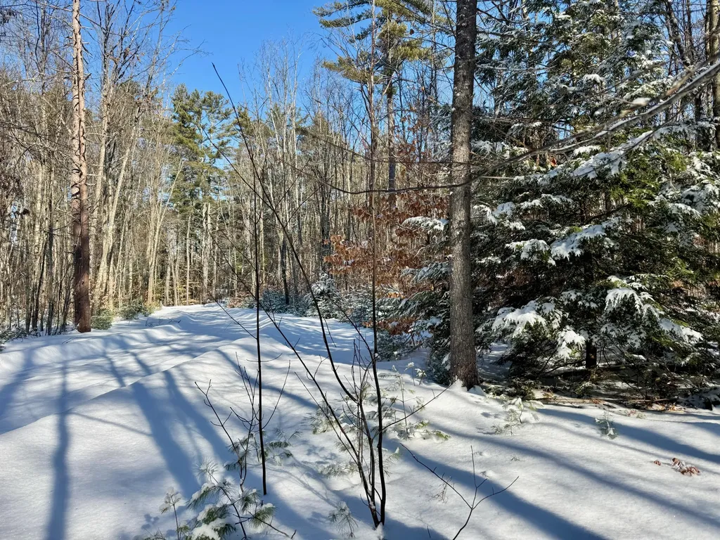 Tbd Swans Falls Road Fryeburg ME 04037