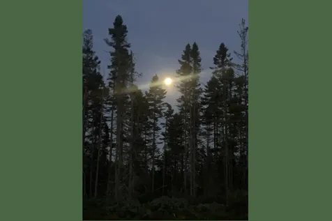 14 Pushaw Woods Lane Hudson ME 04468