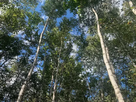 14 Pushaw Woods Lane Hudson ME 04468