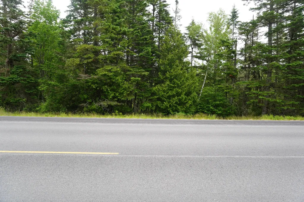 Lot 66 S River Road Edmunds Twp ME 04628
