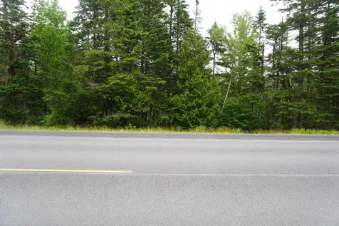 Lot 66 S River Road Edmunds Twp ME 04628
