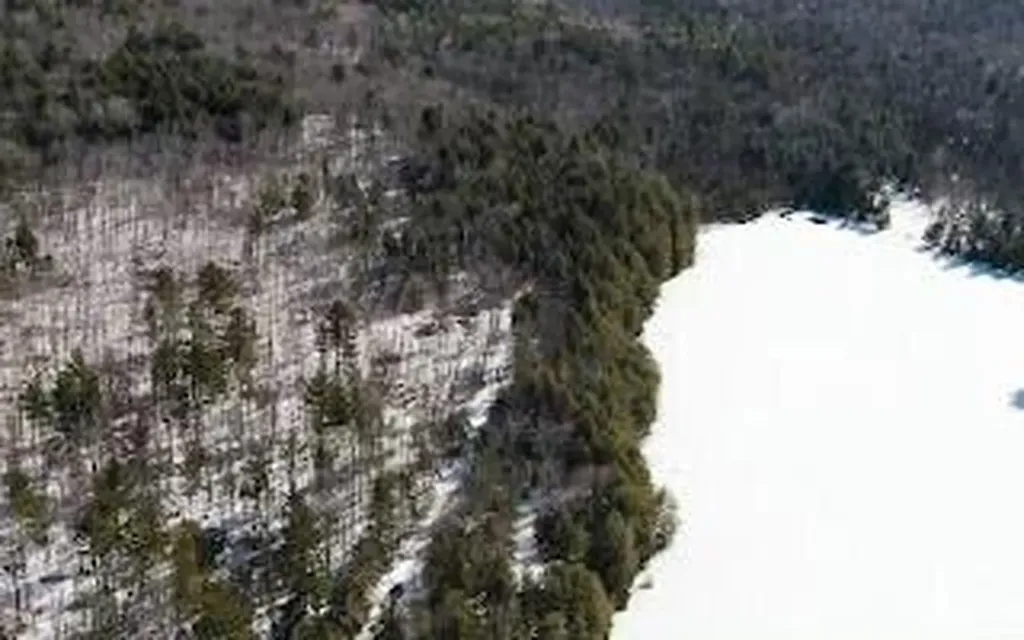 M5L38-1 North Shore Of Center Pond Sangerville ME 04479