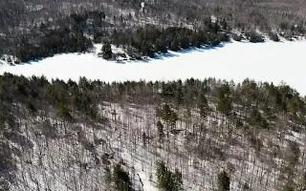 M5L38-1 North Shore Of Center Pond Sangerville ME 04479