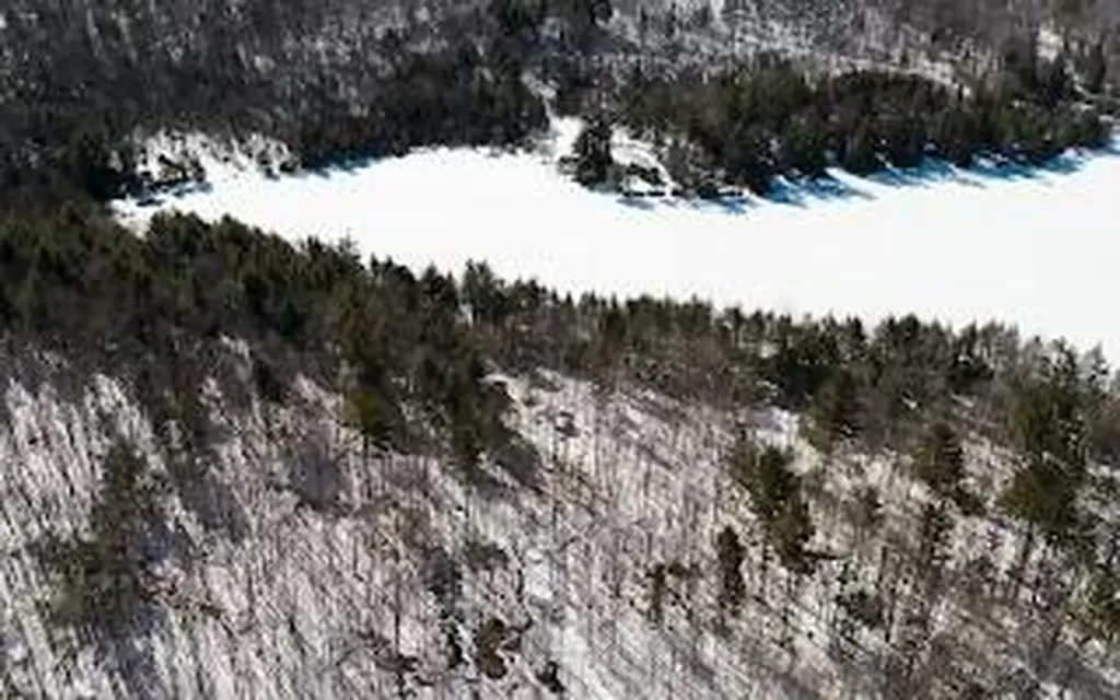M5L38-1 North Shore Of Center Pond Sangerville ME 04479