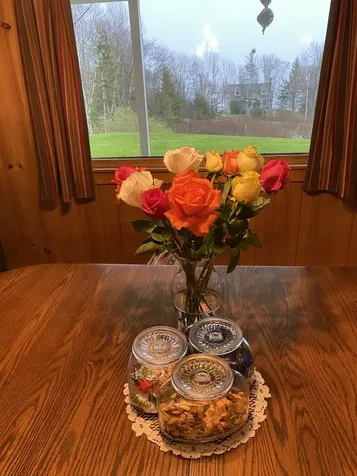 42 Old Mill Road Bristol ME 04554
