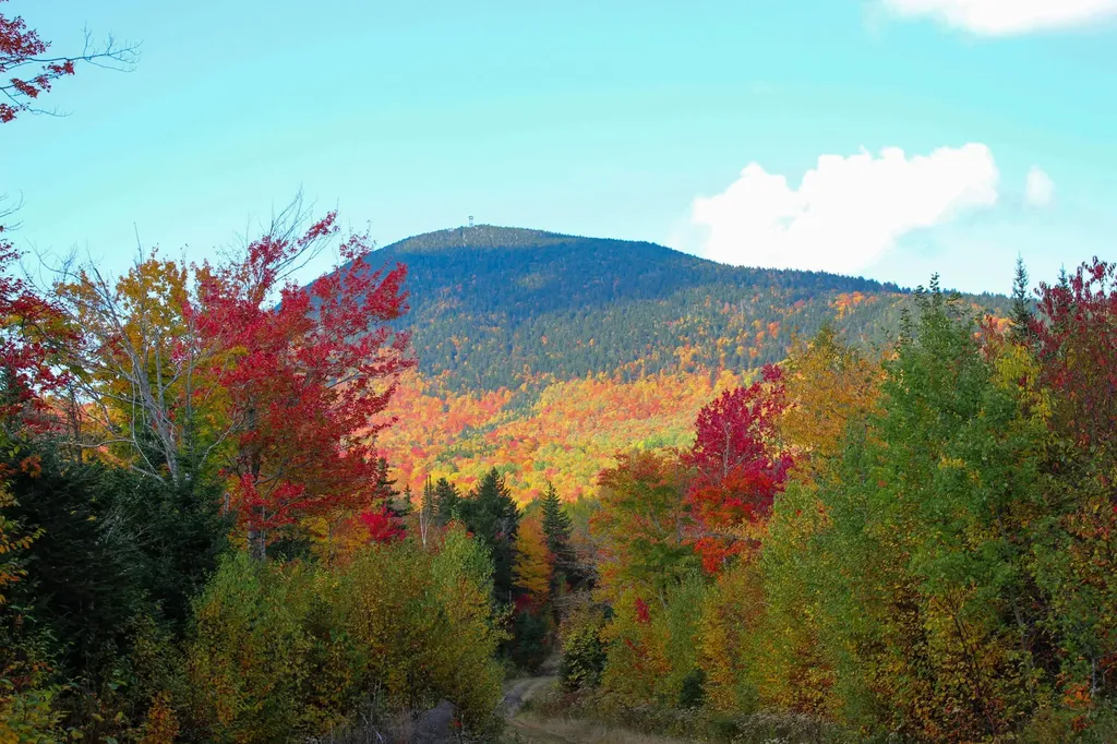 Lot A Taylor Woods Road Temple ME 04984