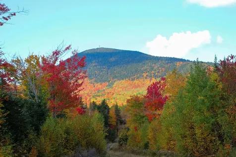 Lot A Taylor Woods Road Temple ME 04984