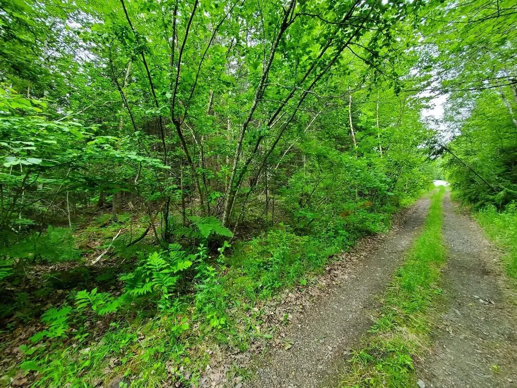 0 Mill Street Princeton ME 04668