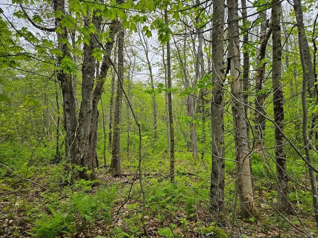 681 Mile Hill Road New Sharon ME 04955
