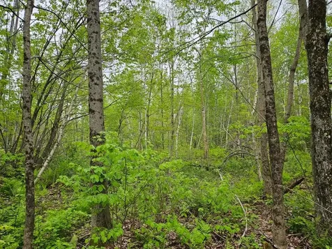 681 Mile Hill Road New Sharon ME 04955