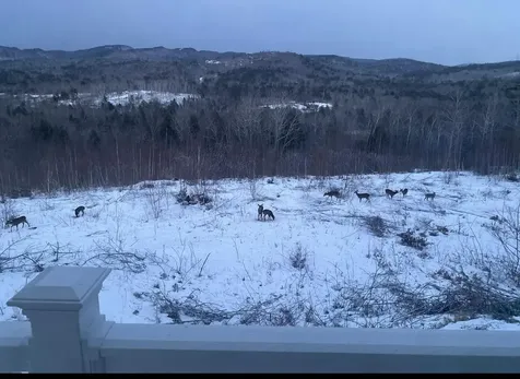1882 North Road Cornish ME 04020