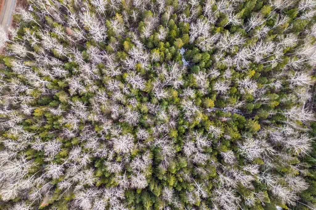 Lot 31,32 Stephens Road Rangeley Plt ME 04970