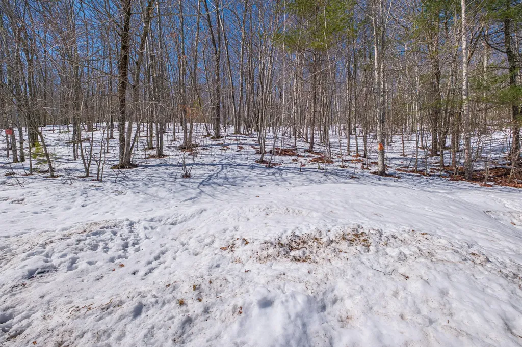 623 Ossipee Hill Road Waterboro ME 04087