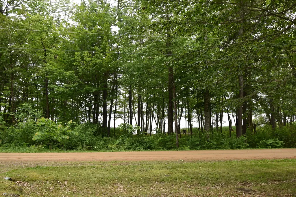 106 Shady Lane Newport ME 04953