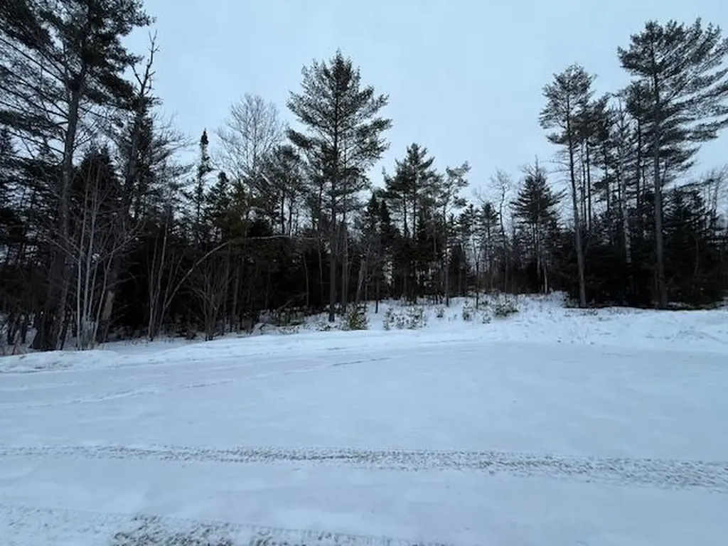 6 Forest Drive Albany Twp ME 04217