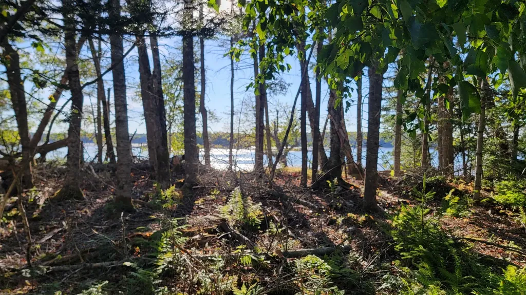 Lot 1 & 5 Evergreen Point Road Jonesboro ME 04648