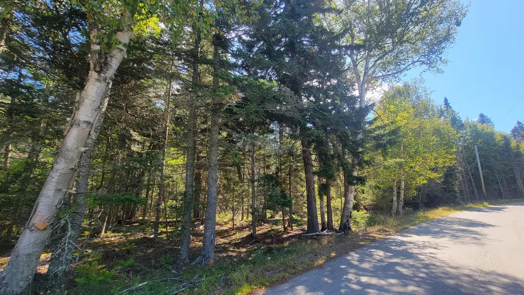 Lot 1 & 5 Evergreen Point Road Jonesboro ME 04648