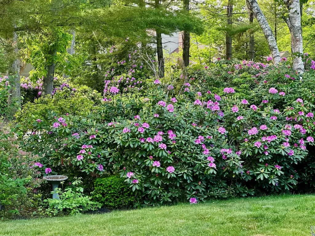 37 Wildwood Drive Cape Elizabeth ME 04107