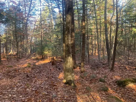 0 Lot #2 Candlewyck Road Windham ME 04062