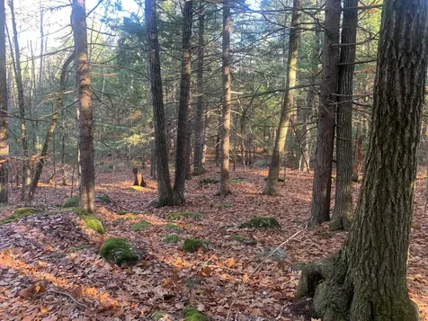 0 Lot #2 Candlewyck Road Windham ME 04062