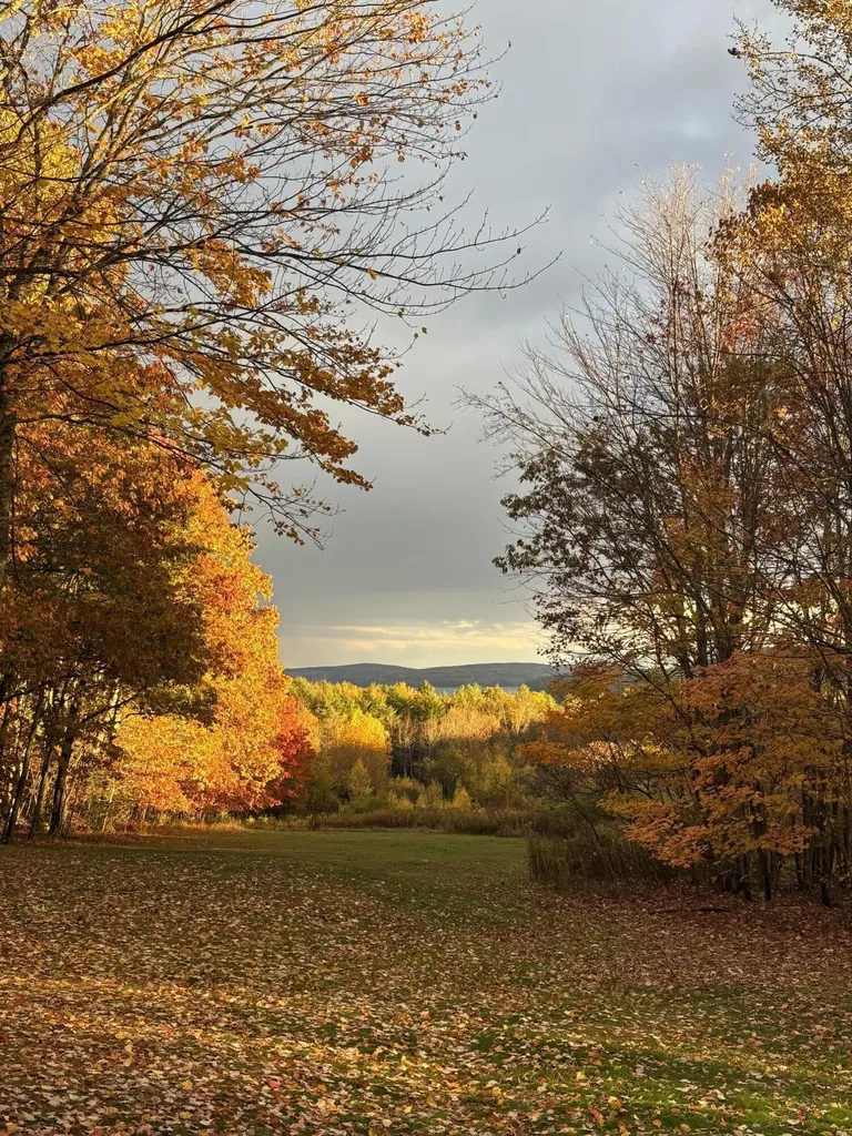141 Bean Road Otisfield ME 04270