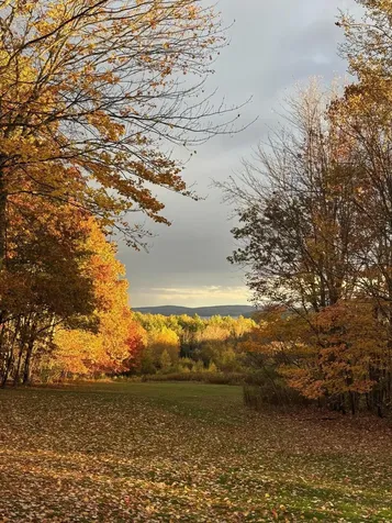 141 Bean Road Otisfield ME 04270