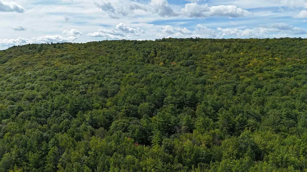 Lot 8 Bakerstown Road Poland ME 04274
