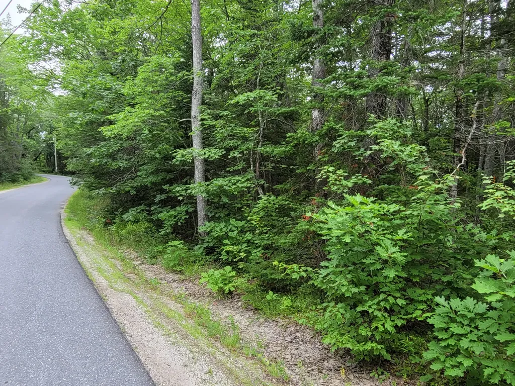 20 Matty Way Franklin ME 04634