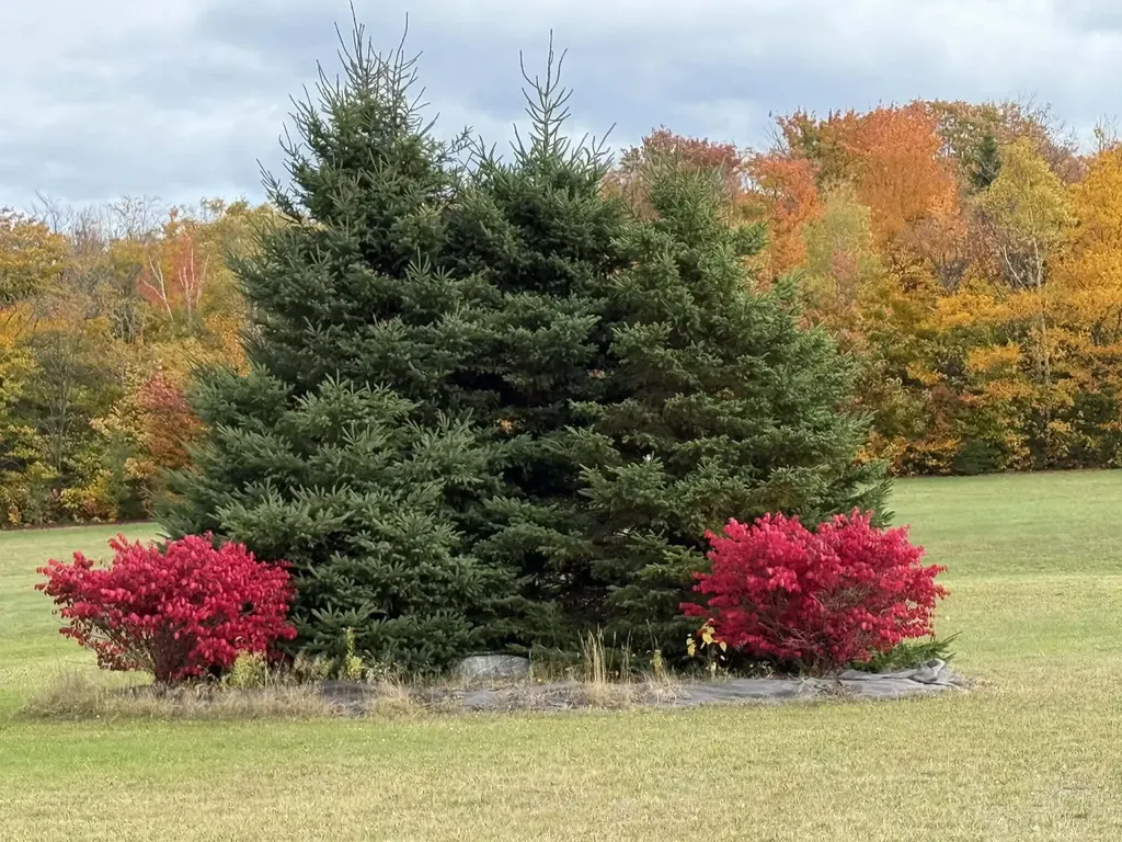 222 Gagnon Road Madawaska ME 04756