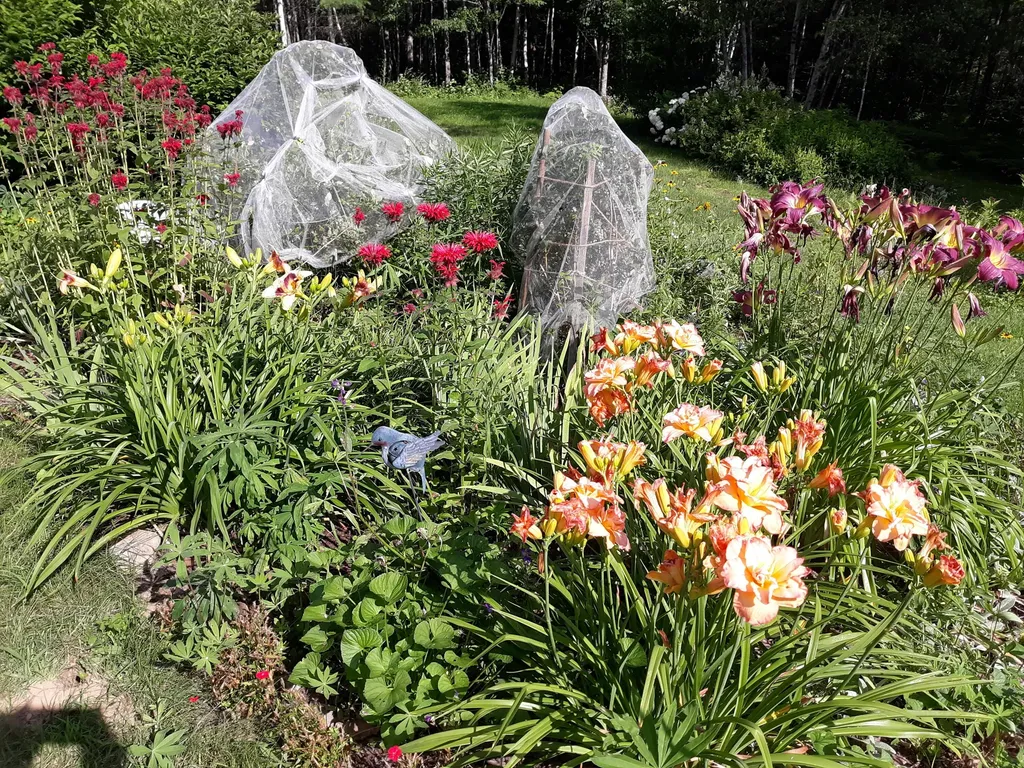 86 Lauries Lane Hanover ME 04237