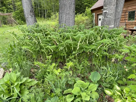 86 Lauries Lane Hanover ME 04237