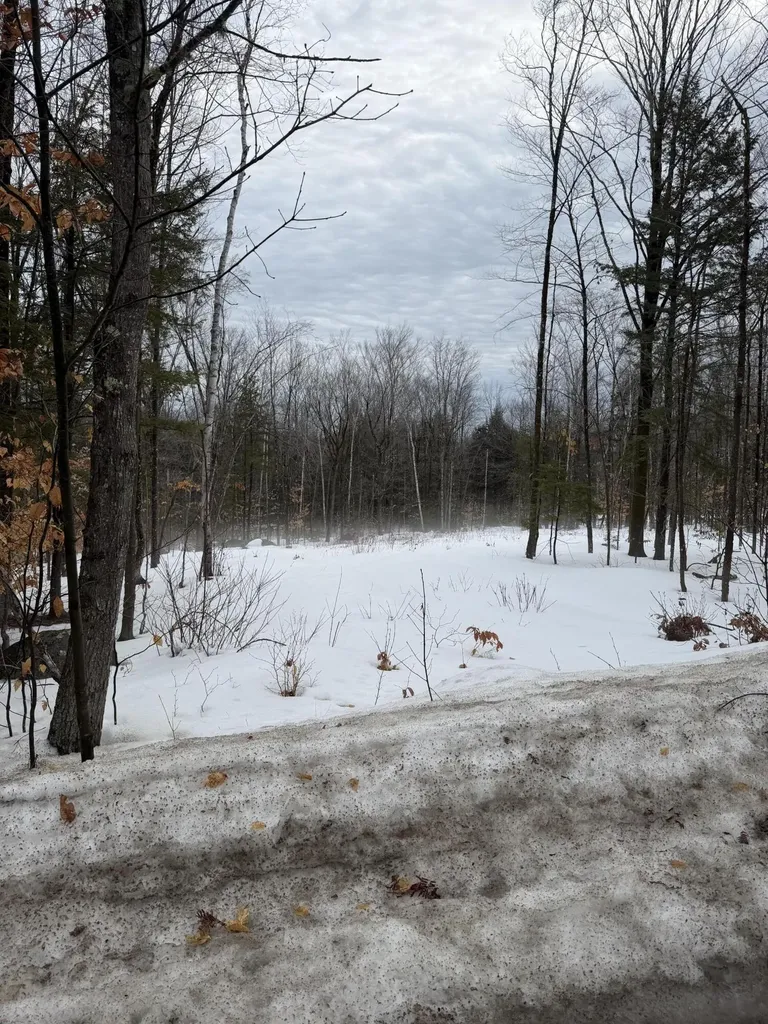 Lot 3 Hancock Pond Road Sebago ME 04029