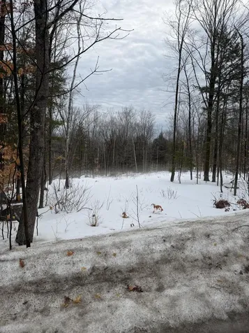 Lot 3 Hancock Pond Road Sebago ME 04029