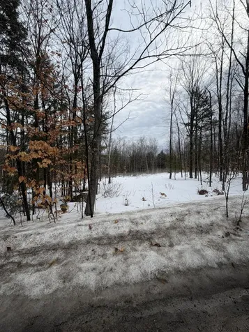 Lot 3 Hancock Pond Road Sebago ME 04029