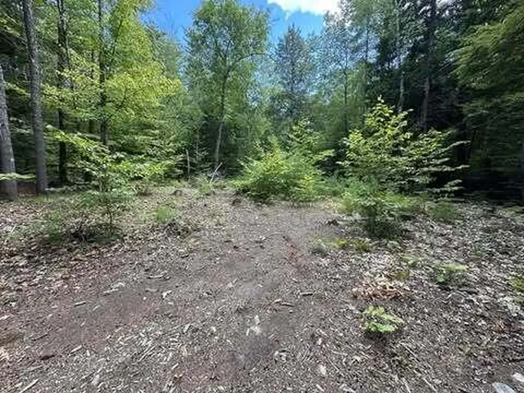 Lot 32b Phen Hill Road Brownfield ME 04010