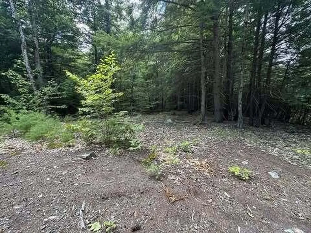 Lot 32b Phen Hill Road Brownfield ME 04010