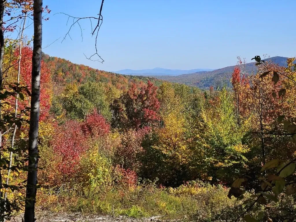 Lot 9 E Moose Alley Road Temple ME 04984