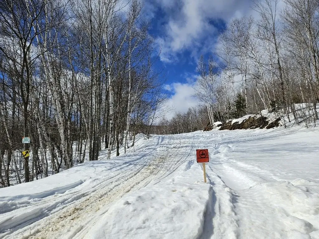 Lot 9 E Moose Alley Road Temple ME 04984
