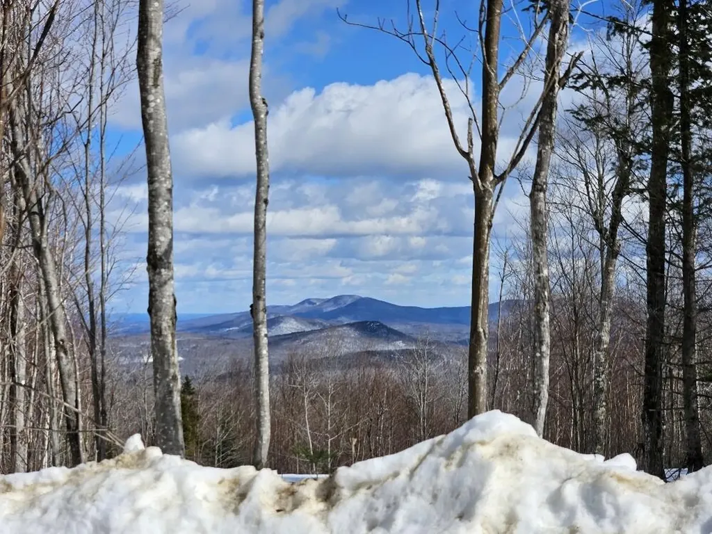 Lot 9 E Moose Alley Road Temple ME 04984